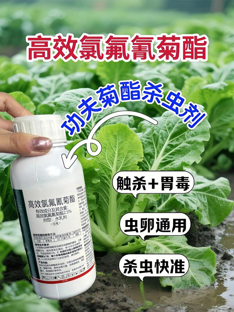 阿勒泰代生中心:农药对供卵代生妈妈的危害